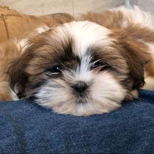 Meet your Posher, Katrina